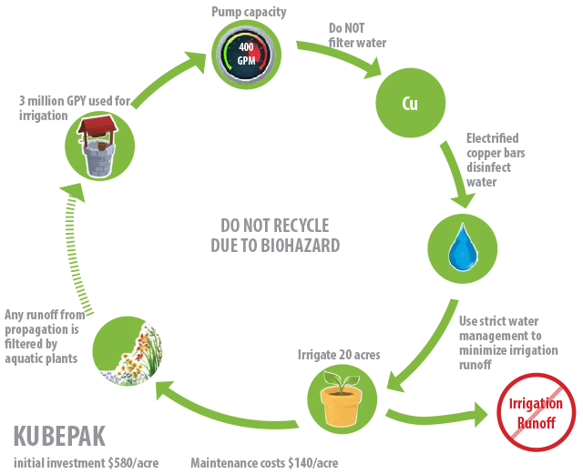 Kubepak infographic showing copper disinfection, aquatic plant filtration cycle.