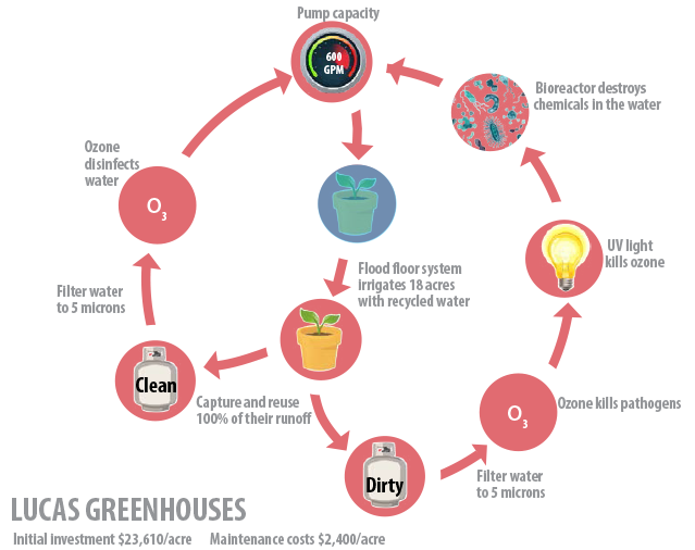Lucas Greenhouses infograpich showing water disinfection system cycle.
