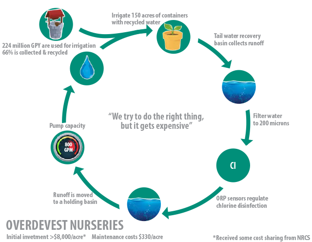 Overdevest Nursuries infographic showing water recovery, runoff cycle.